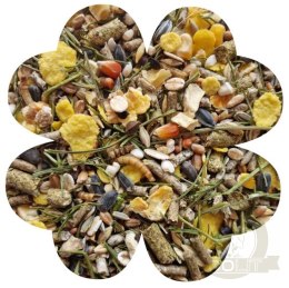 Alegia Enjoy Chomik 400g