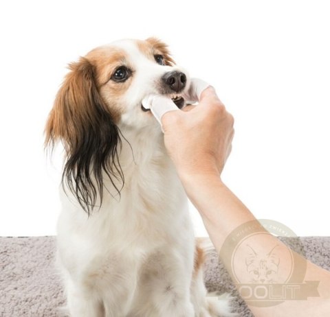 Trixie Dental Care nakładki na palce do higieny zębów 50szt [TX-29393]