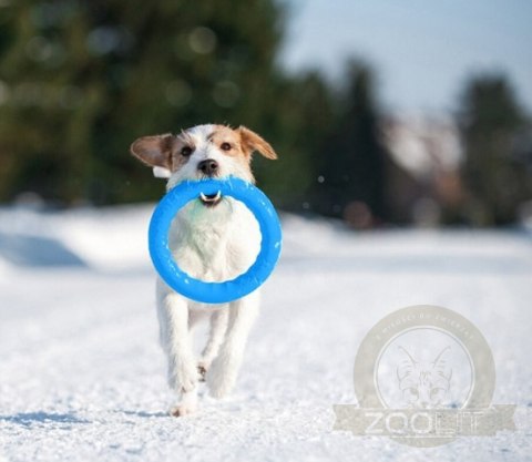 Collar PitchDog20 Pierścień do aportowania 20cm niebieski Collar PitchDog20 Pierścień do aportowania 20cm niebieski