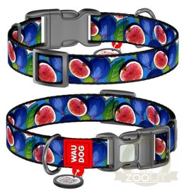 Collar WauDog Nylon Obroża nylonowa z QR-paszportem, plastikowy fastex, wzór FIGA, M 20mm/28-40cm
