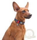 Collar WauDog Nylon Obroża nylonowa z QR-paszportem, plastikowy fastex, wzór FIGA, M 20mm/28-40cm
