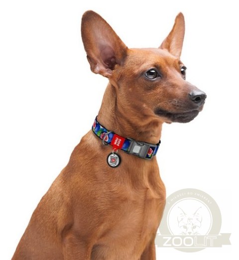 Collar WauDog Nylon Obroża nylonowa z QR-paszportem, plastikowy fastex, wzór FIGA, M 20mm/28-40cm Collar WauDog Nylon Obroża nylonowa z QR-paszportem, plastikowy fastex, wzór FIGA, M 20mm/28-40cm