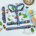 Collar WauDog Nylon Obroża nylonowa z QR-paszportem, plastikowy fastex, wzór FIGA, M 20mm/28-40cm