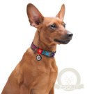 Collar WauDog Nylon Obroża nylonowa z QR-paszportem, plastikowy fastex, wzór LATO, 20mm/28-40cm