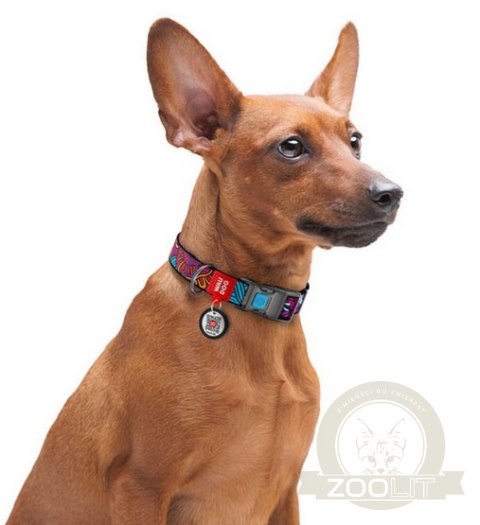 Collar WauDog Nylon Obroża nylonowa z QR-paszportem, plastikowy fastex, wzór LATO, 20mm/28-40cm Collar WauDog Nylon Obroża nylonowa z QR-paszportem, plastikowy fastex, wzór LATO, 20mm/28-40cm