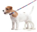 Collar WauDog Nylon Obroża nylonowa z QR-paszportem, plastikowy fastex, wzór LATO, 20mm/28-40cm