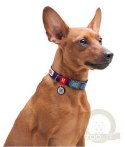 Collar WauDog Nylon Obroża nylonowa z QR-paszportem, plastikowy fastex, wzór NASA, 15mm/25-35cm