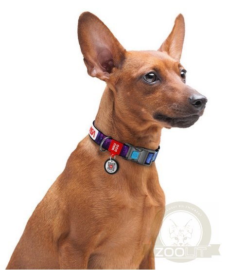 Collar WauDog Nylon Obroża nylonowa z QR-paszportem, plastikowy fastex, wzór NASA, 15mm/25-35cm Collar WauDog Nylon Obroża nylonowa z QR-paszportem, plastikowy fastex, wzór NASA, 15mm/25-35cm