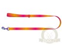 Collar WauDog Recycled Smycz nylonowa, gradient L-XXL 25mm/122cm pomarańczowy