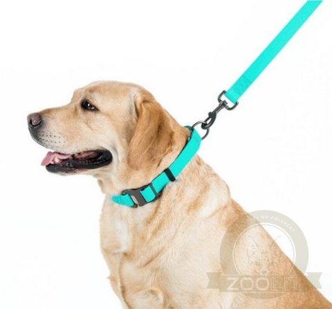 Collar WauDog Waterproof Obroża wodoodporna z QR-paszportem, akumulująca światło, plastikowy fastex, 15mm/25-35cm Collar WauDog Waterproof Obroża wodoodporna z QR-paszportem, akumulująca światło, plastikowy fastex, 15mm/25-35cm