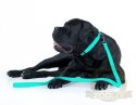 Collar WauDog Waterproof Obroża wodoodporna z QR-paszportem, akumulująca światło, plastikowy fastex, 15mm/25-35cm