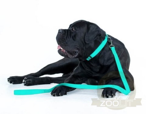 Collar WauDog Waterproof Obroża wodoodporna z QR-paszportem, akumulująca światło, plastikowy fastex, 15mm/25-35cm Collar WauDog Waterproof Obroża wodoodporna z QR-paszportem, akumulująca światło, plastikowy fastex, 15mm/25-35cm
