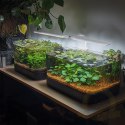 Kruger Meier VitaBeam V - lampa LED do akwarium 20l - 60l