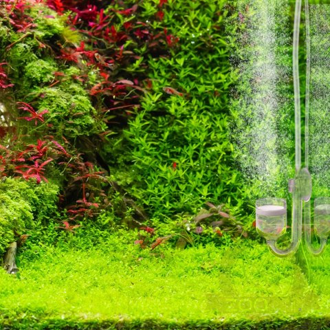 Aquario Professional 2.0 - zestaw CO2 z elektrozaworem + butla 2l Aquario Professional 2.0 - zestaw CO2 z elektrozaworem + butla 2l