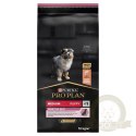 Purina Pro Plan Medium Puppy Sensitive Optiderma Łosoś I Ryż 12kg