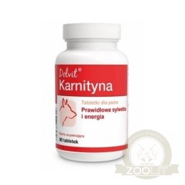 Dolfos Dolvit Karnityna 90 Tabletek