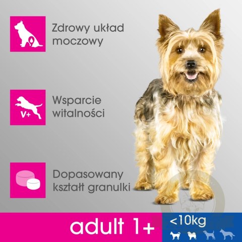 PERFECT FIT Adult 1+ Małe Rasy Z Kurczakiem 6kg PERFECT FIT Adult 1+ Małe Rasy Z Kurczakiem 6kg