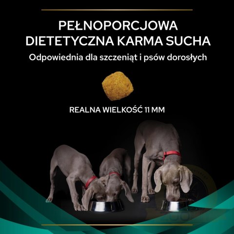 PURINA Pro Plan Veterinary EN Gastrointestinal 1,5kg PURINA Pro Plan Veterinary EN Gastrointestinal 1,5kg