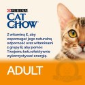 Purina Cat Chow Adult Chicken And Rice 15kg