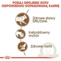 ROYAL CANIN Ageing +12 Gelee 12x85g