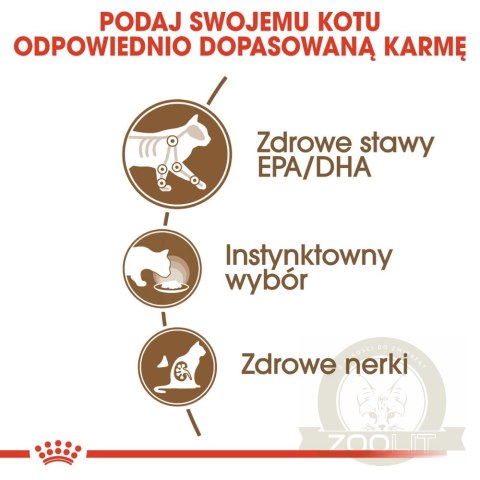 ROYAL CANIN Ageing +12 Gelee 12x85g ROYAL CANIN Ageing +12 Gelee 12x85g