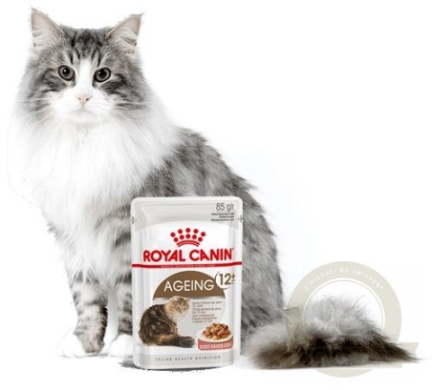 ROYAL CANIN Ageing +12 Sauce 12x85g ROYAL CANIN Ageing +12 Sauce 12x85g