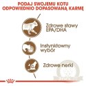 ROYAL CANIN Ageing +12 Sauce 12x85g
