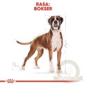 ROYAL CANIN Boxer Adult 12kg