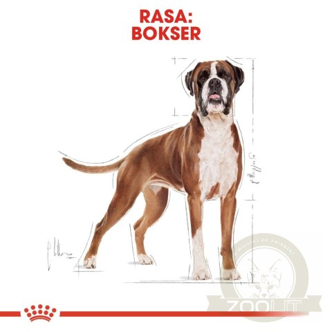 ROYAL CANIN Boxer Adult 12kg ROYAL CANIN Boxer Adult 12kg