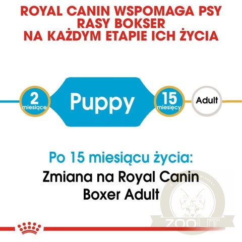 ROYAL CANIN Boxer Puppy 12kg ROYAL CANIN Boxer Puppy 12kg