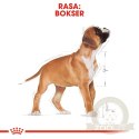 ROYAL CANIN Boxer Puppy 12kg
