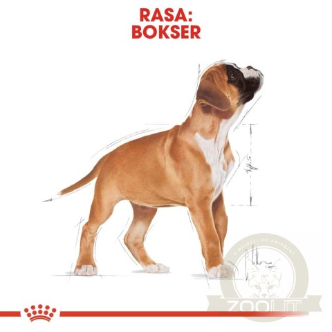 ROYAL CANIN Boxer Puppy 12kg ROYAL CANIN Boxer Puppy 12kg