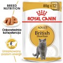ROYAL CANIN British Shorthair Adult 12x85g