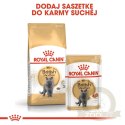 ROYAL CANIN British Shorthair Adult 12x85g