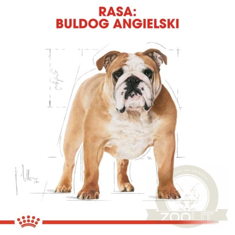 ROYAL CANIN Bulldog Adult 12kg ROYAL CANIN Bulldog Adult 12kg