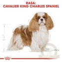 ROYAL CANIN Cavalier King Charles Spaniel Adult 1,5kg