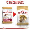 ROYAL CANIN Cavalier King Charles Spaniel Adult 1,5kg