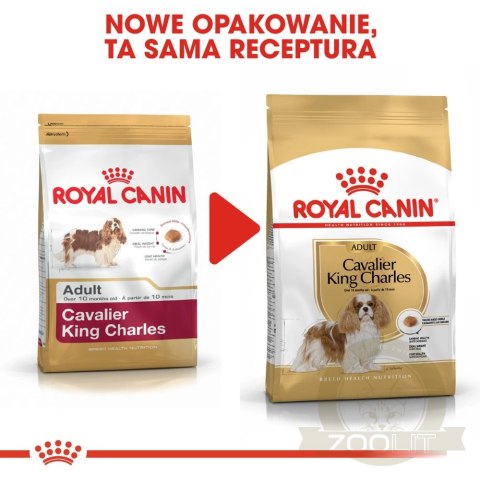 ROYAL CANIN Cavalier King Charles Spaniel Adult 1,5kg ROYAL CANIN Cavalier King Charles Spaniel Adult 1,5kg