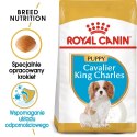 ROYAL CANIN Cavalier King Charles Spaniel Puppy 1,5kg