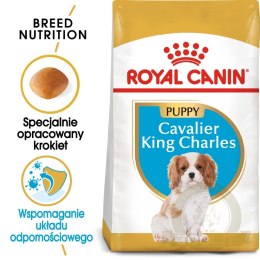 ROYAL CANIN Cavalier King Charles Spaniel Puppy 1,5kg