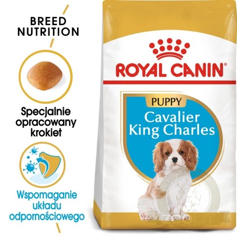 ROYAL CANIN Cavalier King Charles Spaniel Puppy 1,5kg ROYAL CANIN Cavalier King Charles Spaniel Puppy 1,5kg