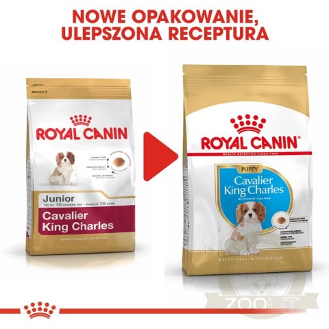 ROYAL CANIN Cavalier King Charles Spaniel Puppy 1,5kg ROYAL CANIN Cavalier King Charles Spaniel Puppy 1,5kg