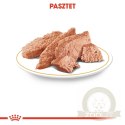 ROYAL CANIN Chihuahua Adult 12x85g