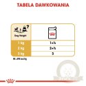 ROYAL CANIN Chihuahua Adult 12x85g