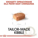 ROYAL CANIN Chihuahua Puppy 500g