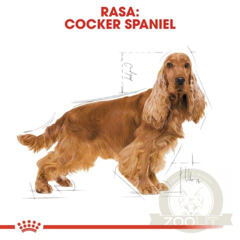 ROYAL CANIN Cocker Spaniel Adult 12kg ROYAL CANIN Cocker Spaniel Adult 12kg