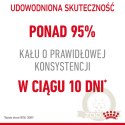 ROYAL CANIN Digest Sensitive 12x85g