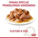ROYAL CANIN Digest Sensitive 12x85g