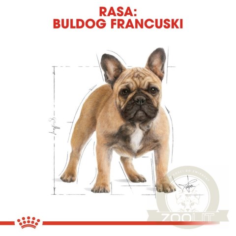 ROYAL CANIN French Bulldog Adult 9kg ROYAL CANIN French Bulldog Adult 9kg