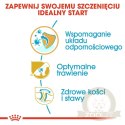 ROYAL CANIN German Shepherd Puppy 12kg
